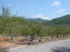 DSC00784.JPG (571689 bytes)