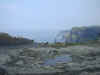 bSCN0083.jpg (50614 bytes)