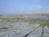 bSCN0093.jpg (62254 bytes)