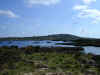 bSCN0106.jpg (55762 bytes)