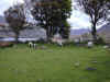 bSCN0124.jpg (96733 bytes)