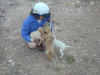Lipari Chiots 4.jpg (137605 bytes)