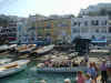 capri 1.jpg (118744 bytes)