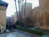 ASCN0002.jpg (232008 bytes)