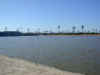 CSCN0009.jpg (222928 bytes)