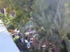 DSCN0095.jpg (309018 bytes)