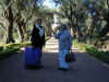 DSCN0122.jpg (334286 bytes)
