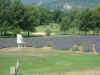 DSC00534.JPG (573532 bytes)