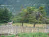 DSC00587.JPG (580889 bytes)