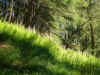 DSC00650.JPG (625952 bytes)