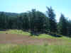 DSC00668.JPG (565674 bytes)