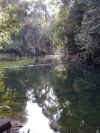 Buki Tima Reserve 8.jpg (95987 bytes)