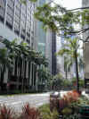 City2.jpg (624593 bytes)