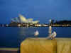 Sydney 10.jpg (47643 bytes)