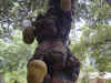 BSCN0053.jpg (339381 bytes)