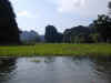 BSCN0070.jpg (242332 bytes)